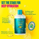 Mielle Kalahari Melon & Aloe Deep Hydration Shampoo 355Ml - Image 4